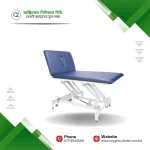 Everyway CA160 Bobath Table – 2-Section Electric Physiotherapy Table Price in Bangladesh